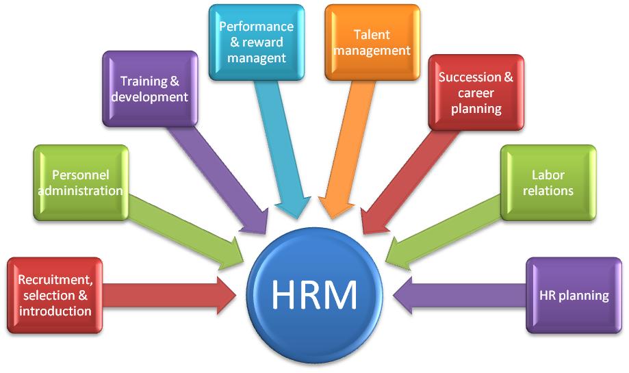 HR Manager - Director resurse umane